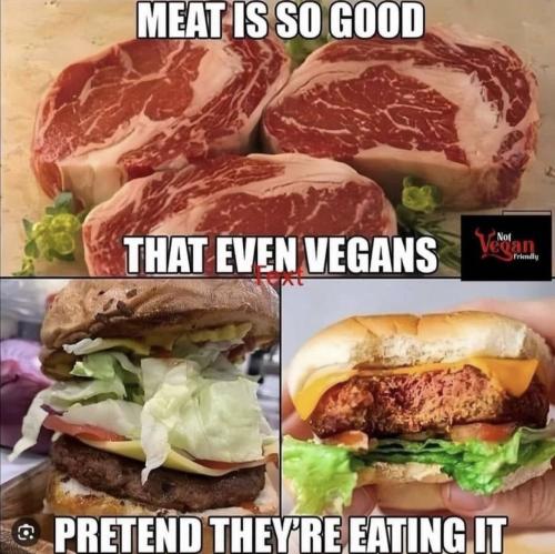 Screenshot_20240306_021422_Instagram