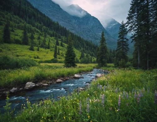 img-c12624c7