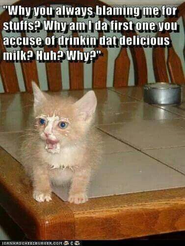 9b6dbc2f35ffcdea59d1a3311dd540cf