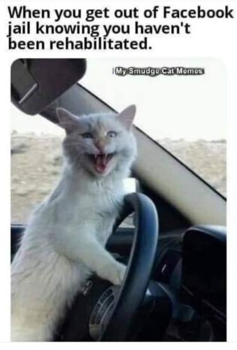 a3ea891dcad8002ea5805978e1a052f0