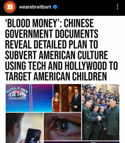 xephula_933f1e7139b2e4e639d7c9a9f7eff2d7