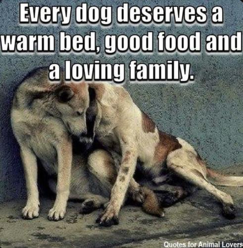 474917b39031afd618da48bf3be39c30