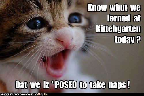 33c25279021c1c436e02b042f598d9f6