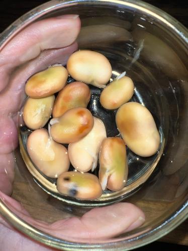 5B18002A-E702-4D3A-A0A6-150E6DCECF37