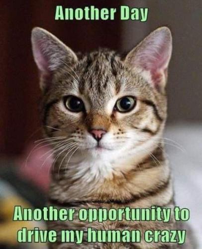 5380be91ab720d878be7c32d8d81c81b