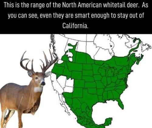 FB_IMG_1709561333029