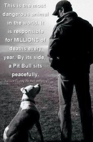 520ca414c76b4ba21bd680a43366c2af