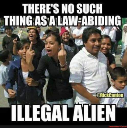 b494c1726bef7e710c052c4dd60bb57e071a87366c2b727ba39dba3a34f1851c_1