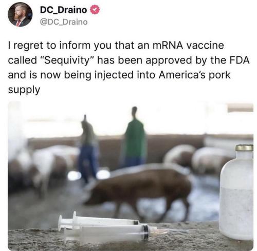 photo_2024-03-23_01-01-17