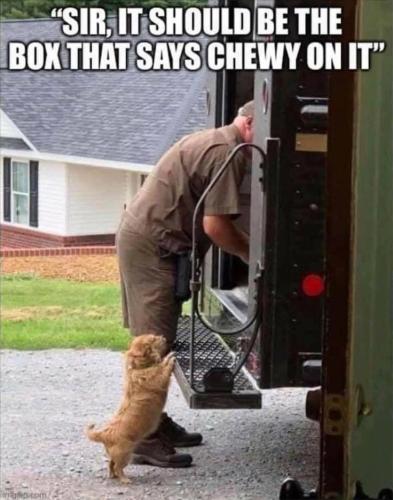 3071730b3ba19ddee42e9f0f4f892c84