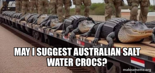 may-i-suggest-42849ef20d