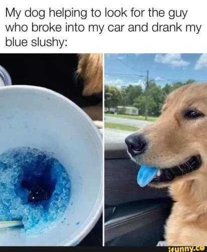 9bd8793c7f30bd86d9e5143ea1a58bed3a84848789829fbacc787e76e6df605d_1