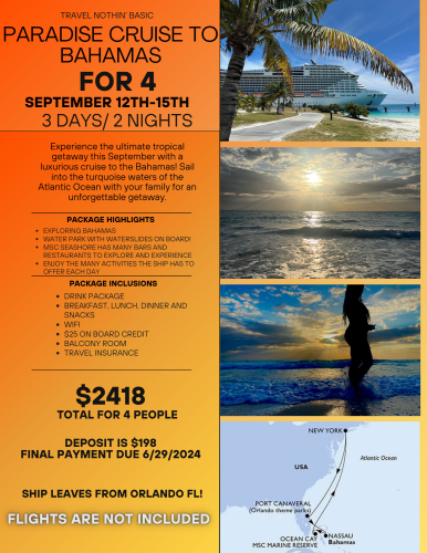 Peach Minimalist Travel Package Promotion Flyer