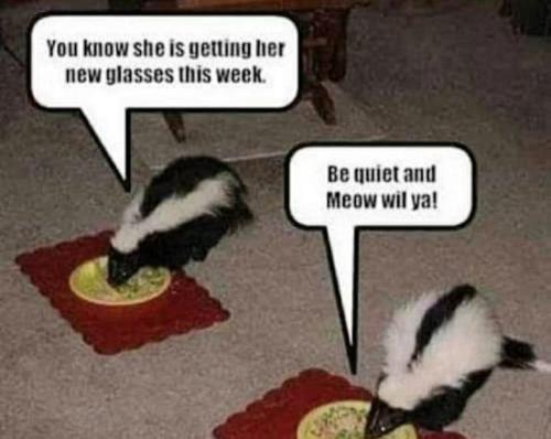 0396d9e838260d93781540f7b17175ea