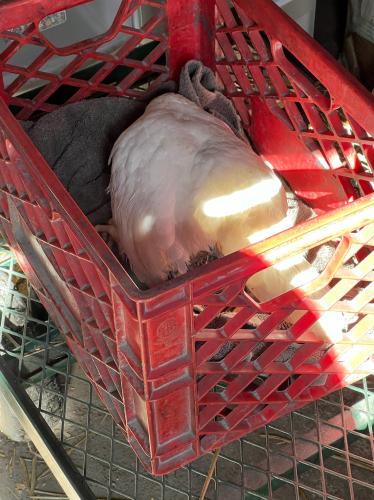 B370F86F-3A70-4058-BCA5-8FF899011985