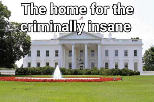 sngine_92b1ae1fc73bf8bc1cde348891e1b0a1