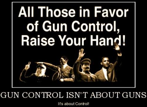 gun control-isnt-about-guns-guns-politics