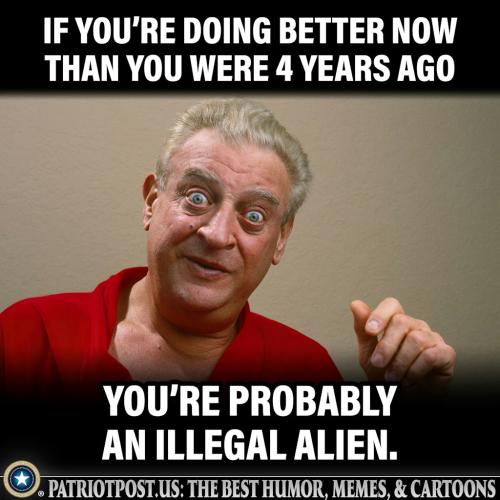 Illegal Alien
