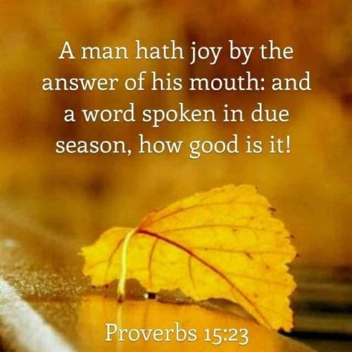 b43daacc-9b8a-4b83-9cfe-c28de9ecadc8