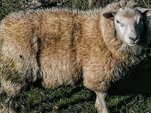 IMG_20230223_103730-01