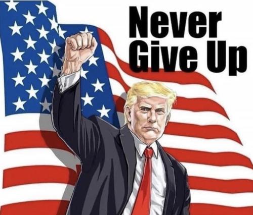 sngine_d19b1e69515daff37bbe2450937f1b51