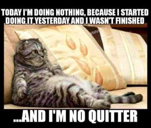 FB_IMG_1709937234913