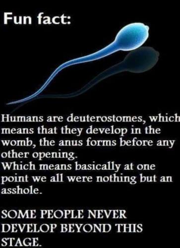 97e91b3f4509782246c3636af8ce8d15