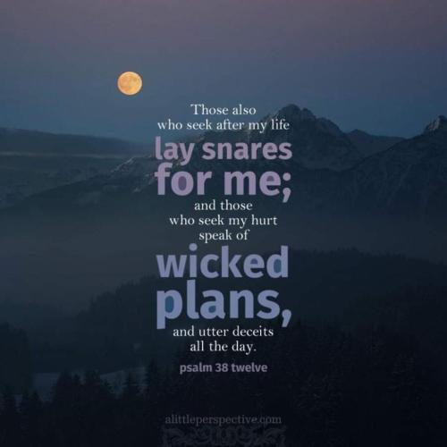 img-c5151466