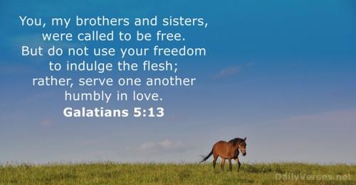 Galatians 5_13