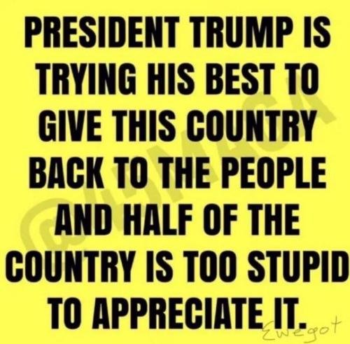 IMG_20240309_225156_752