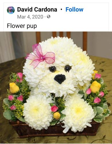 13:03:56 GMT-0500 (EST)