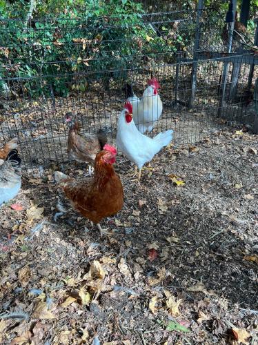 44C4DDF0-0D34-48E2-850C-EA14C7DEE591