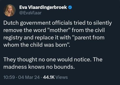 IMG_20240305_173203_213