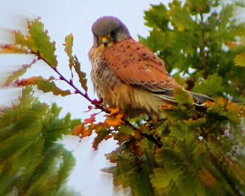 PicsArt_03-10-09.52.17-01~2