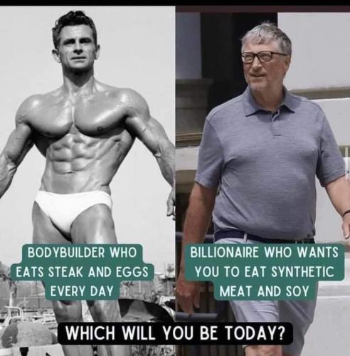 which will you be