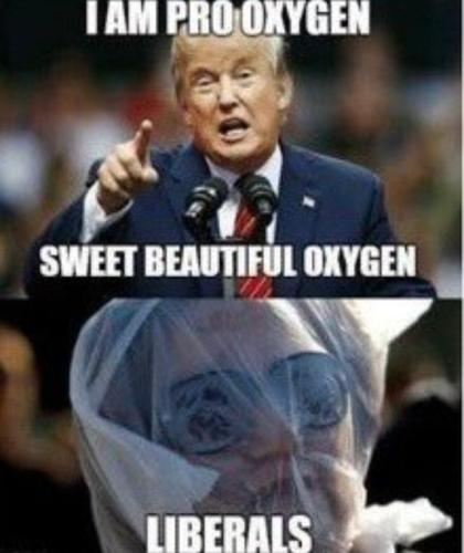 IMG_20240318_120833_995