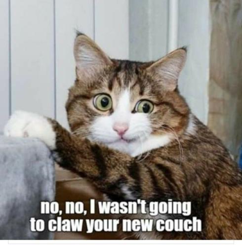 f002d6cd52e848136b347a5951afd4b9