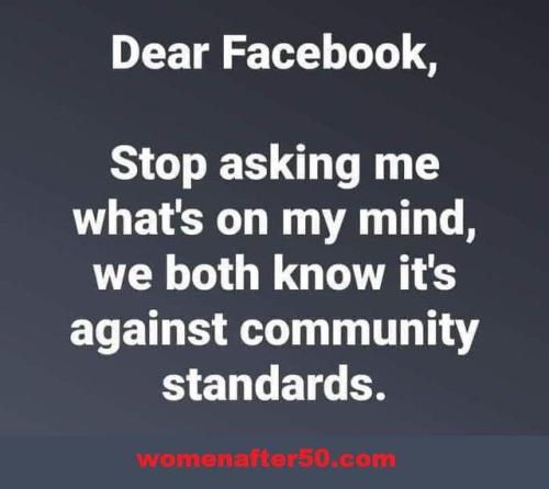 sngine_973fe1e07972eba41f283c7fb81fd186