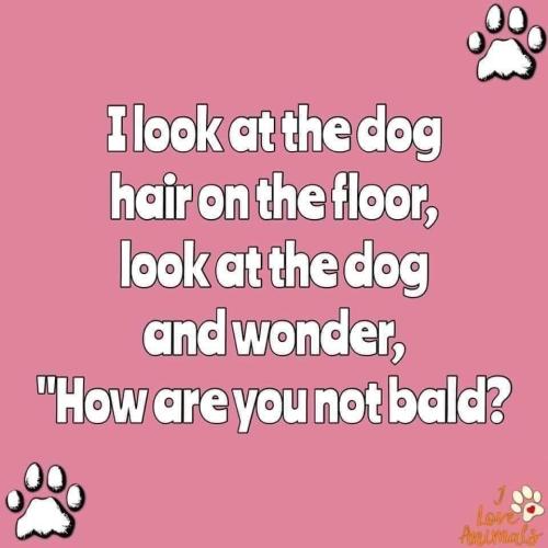 BC8E0774-AA70-4336-BC9C-A622BDB32197