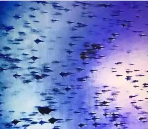 zzzzz QfB8j.qR4e-small-DAVE