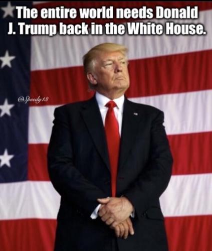 sngine_e3324162551f0695e7df9f3b5d6fb014