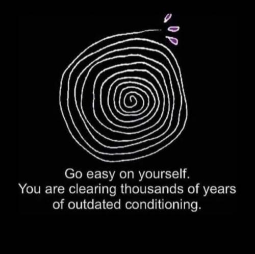 431317887_901284175330025_7266574942426593879_n