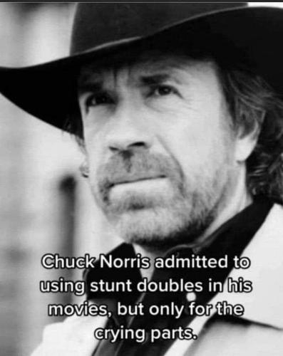 Chuck Norris Cry stunt double