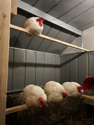 B4F5FF23-04CB-4230-BF87-AAF0D0F37BE5