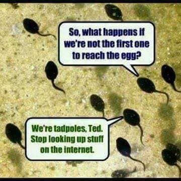 4039c3bdd7f3fb80d3593d511dfcfe50