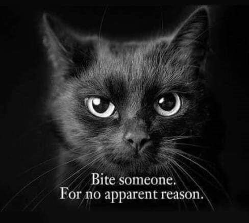 FB_IMG_1710594849841