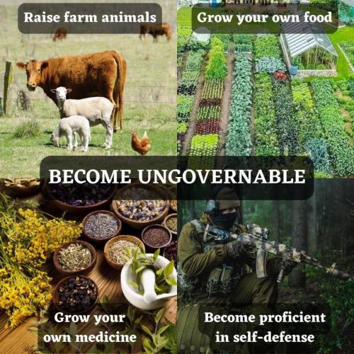 photo_2024-03-12_17-50-33