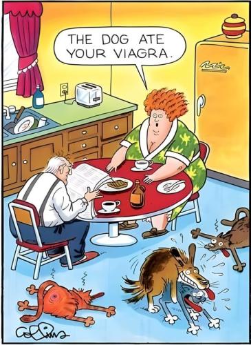 viagra