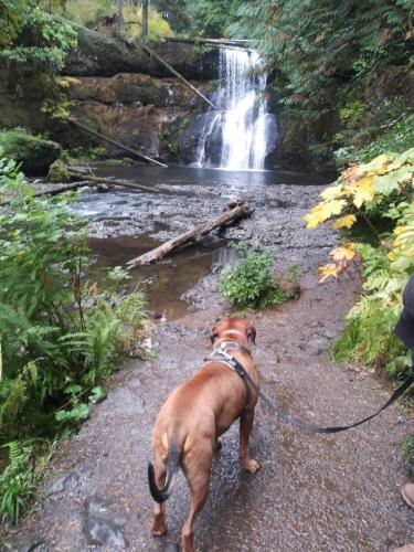 370309403_1678033056023927_7435549828118908657_n