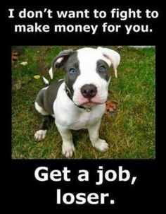 027e6449b4d656b8b24af246565cc01a